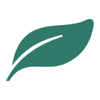 Notepad++
